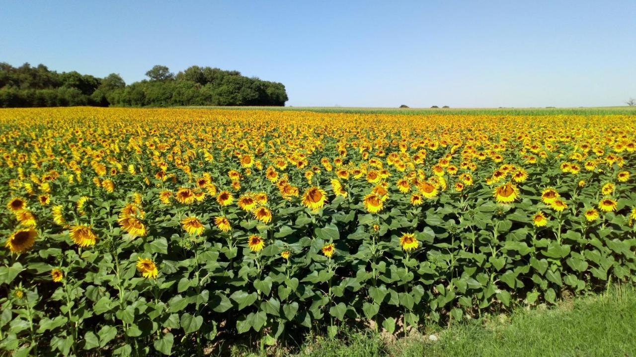 La Petite Bellarderie Villa Champniers  Buitenkant foto
